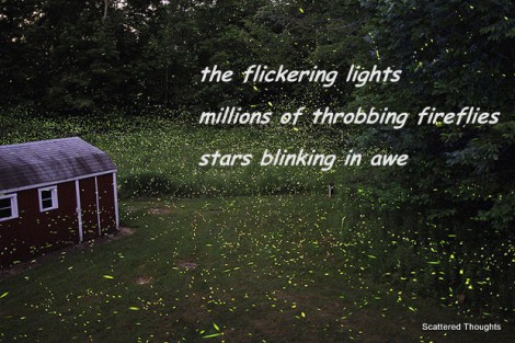 1-fireflies1