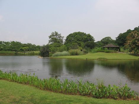 800px-singapore_botanic_gardens_eco-lake_9_sep_06